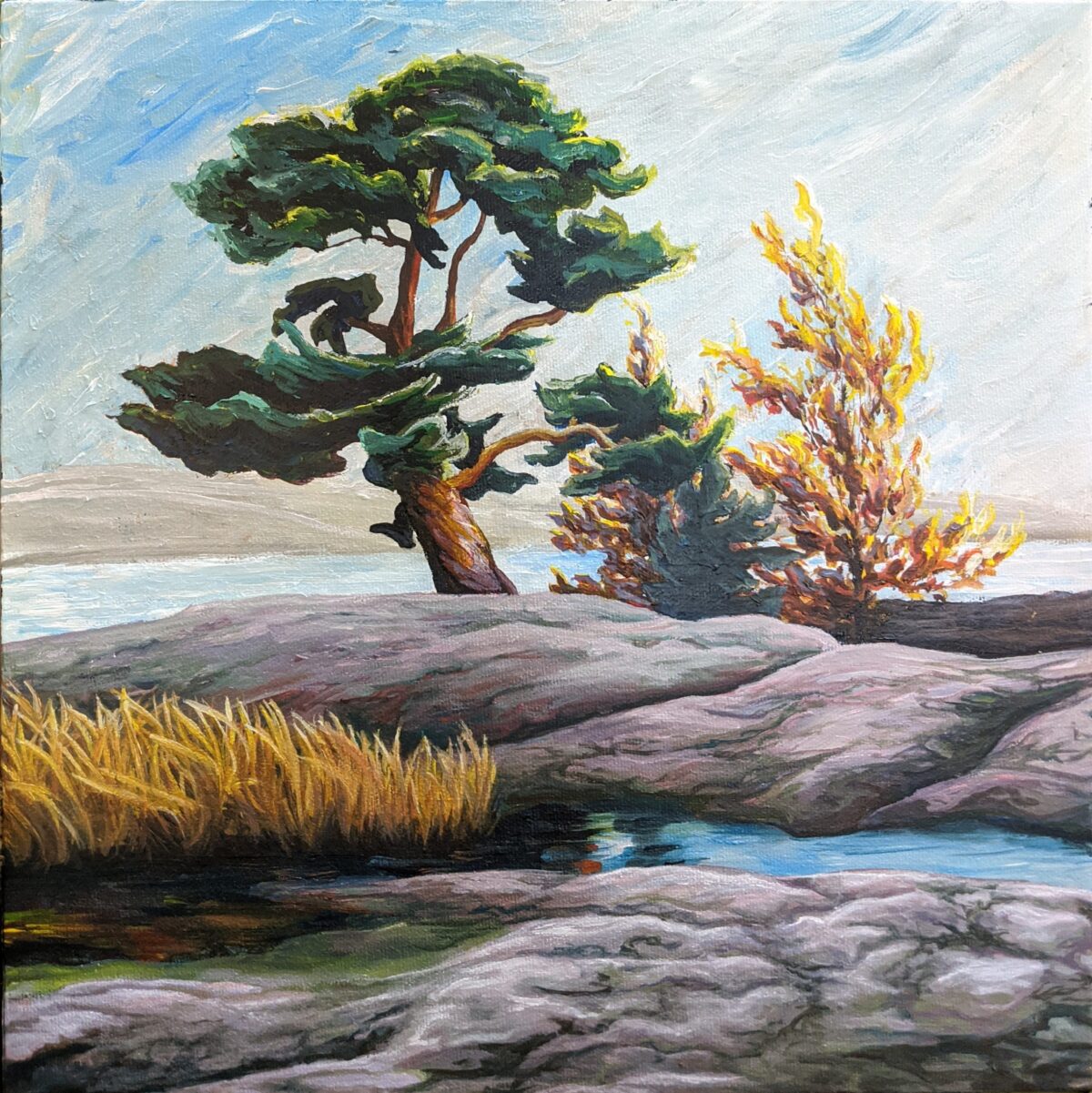 Acrylic painting of a rocky coastal landscape containing sparse trees