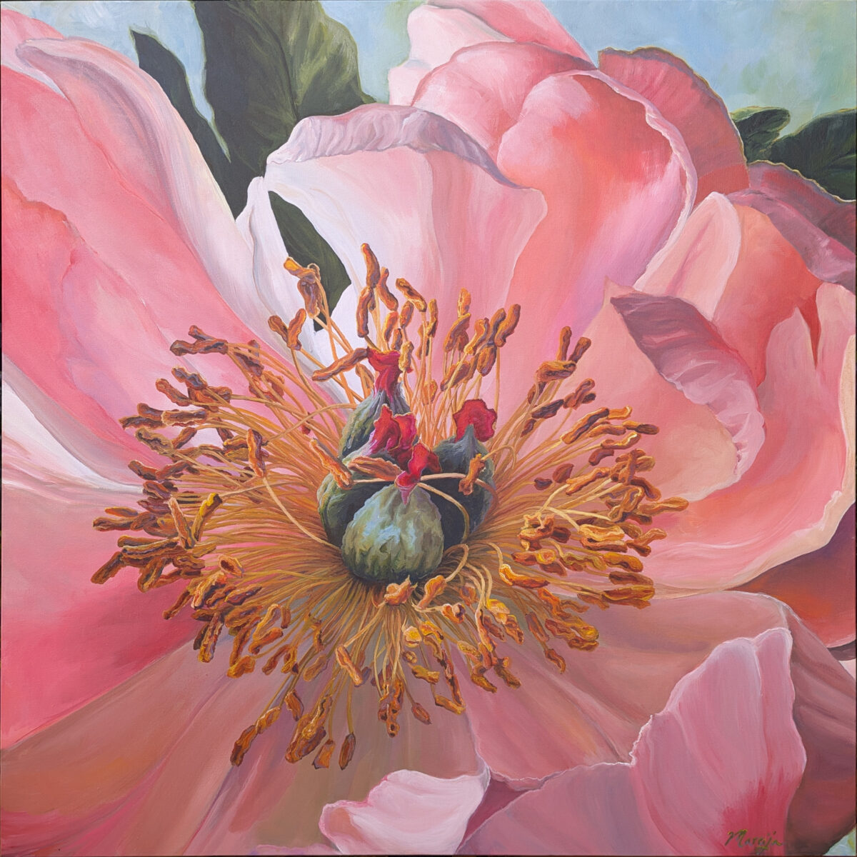 Peony