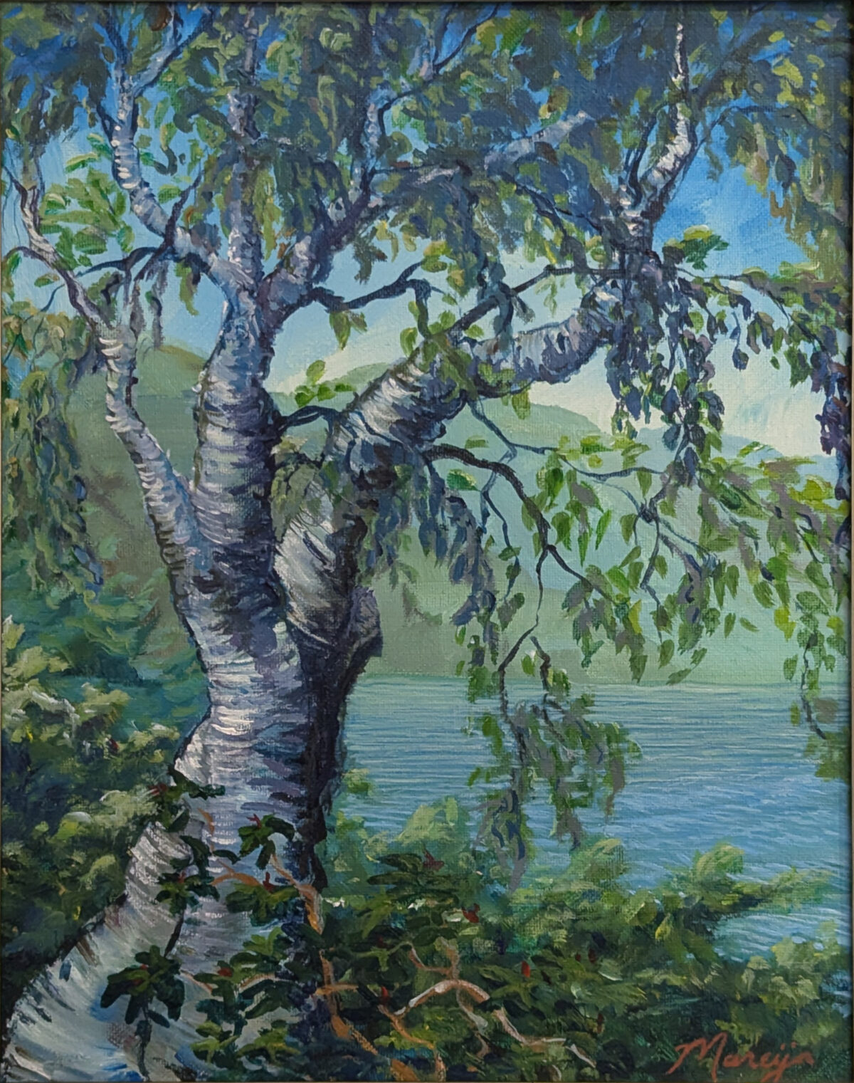 Birch Trees